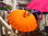 Sombrilla Balinesa  Ø180 Naranja Mástil Plegable