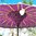 Purple Silver De Luxe Balinese Umbrella