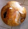 Teak Root Ball