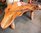 Teak Root Bench