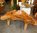 Teak Root Bench