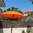 Sombrilla Balinesa Ø 90 Naranja Mástil Plegable