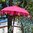 Pink Balinese Umbrella Ø 90 Folding Mast