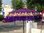 Purple De Luxe Balinese Umbrella Fringe