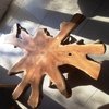 Teak Root Table