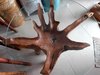 Flower Teak Root Table