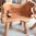 Teak Root Bench S