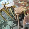 Teak Root Bar Stool