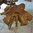 Teak Root Table SP