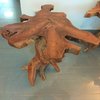 Teak Root Table 2