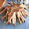 Teak Root Table DI