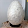 Nacre Egg Big Lamp