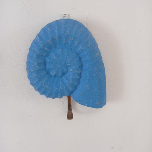 Percha Concha