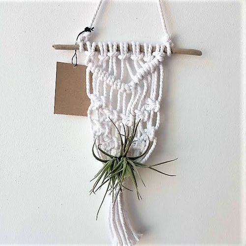 Air Plant  Macrame Holder